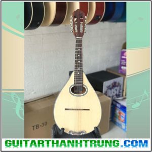 Đàn Mandolin Gỗ Hồng Đào