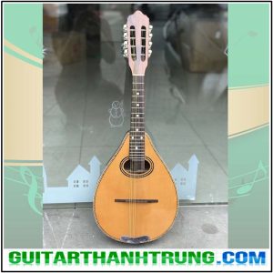 Đàn Mandolin Gỗ Hồng Đào cao cấp