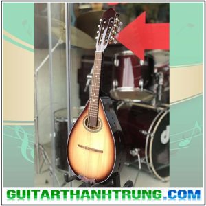 Đàn mandolin gỗ ép mặt thông